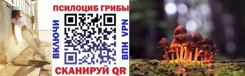 где купить наркоту  Салават  omg вход  даркнет наркотические препараты  Галлюциногенные грибы мухоморы 
